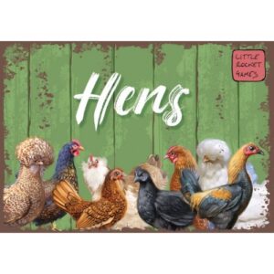 Hens - NL